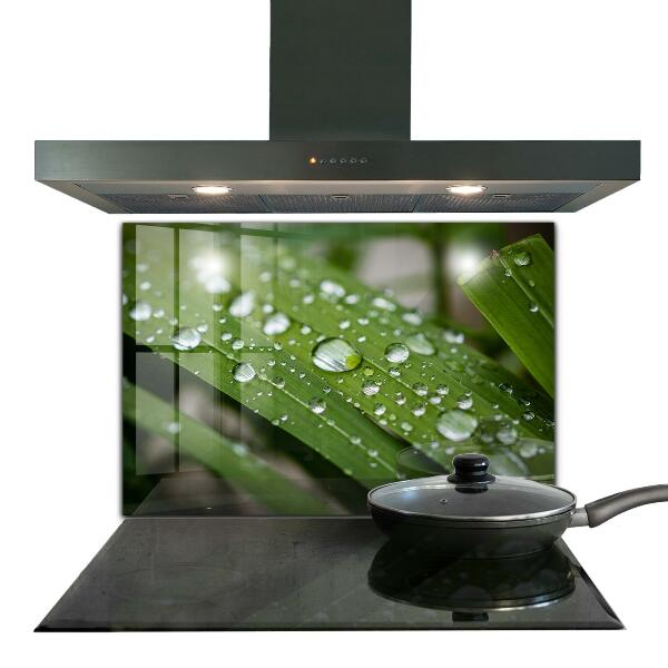 Crédence cuisine en verre Gouttes de rosée sur l'herbe