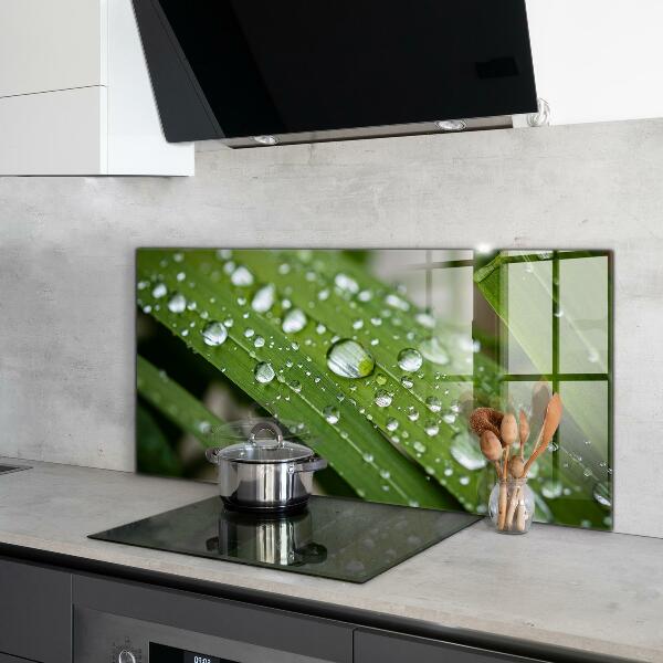 Crédence cuisine en verre Gouttes de rosée sur l'herbe