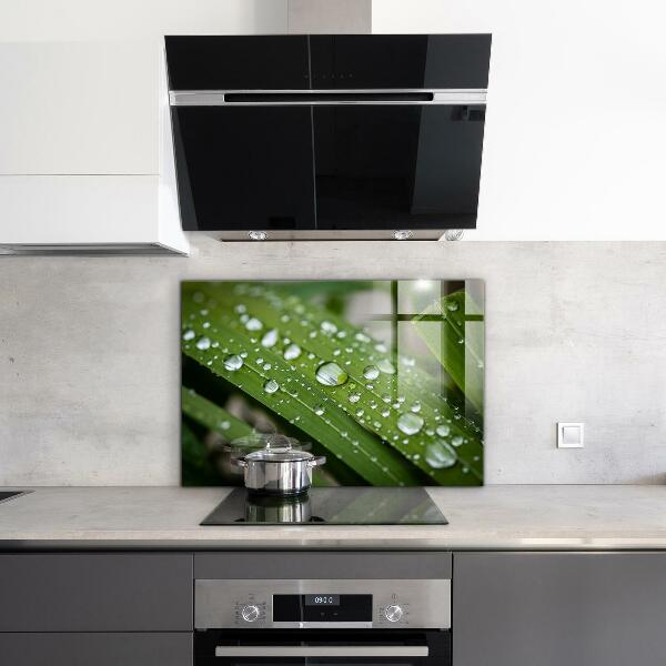 Crédence cuisine en verre Gouttes de rosée sur l'herbe