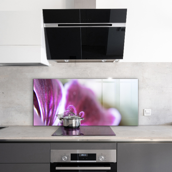 Crédence cuisine en verre Détails de la nature de la fleur rose