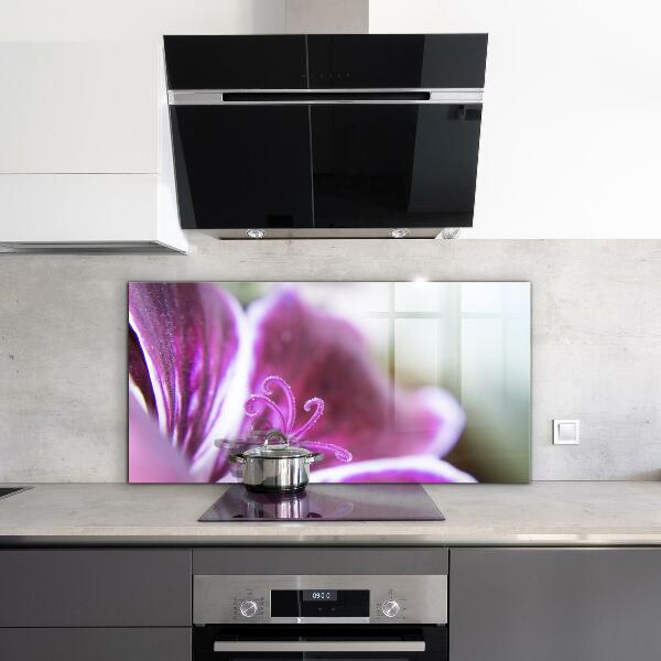 Crédence cuisine en verre Détails de la nature de la fleur rose