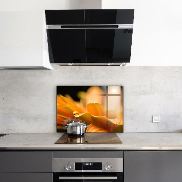 Crédence cuisine en verre Fleur de gerber