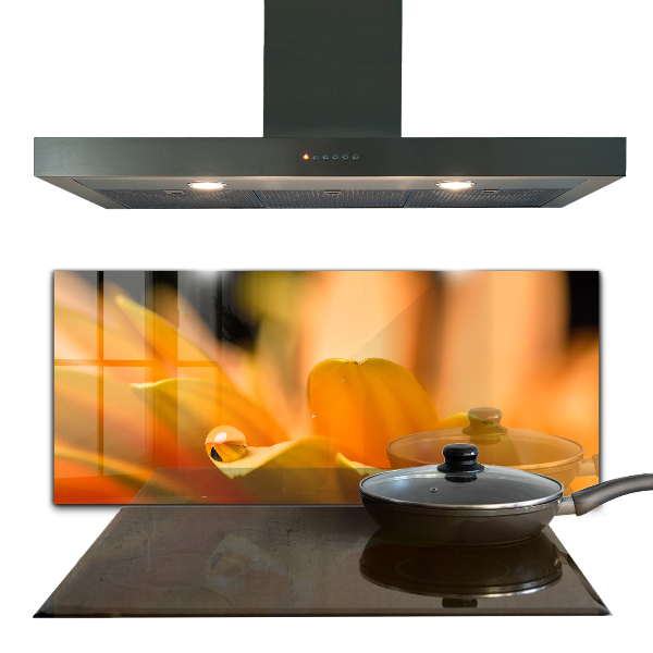 Crédence cuisine en verre Fleur de gerber