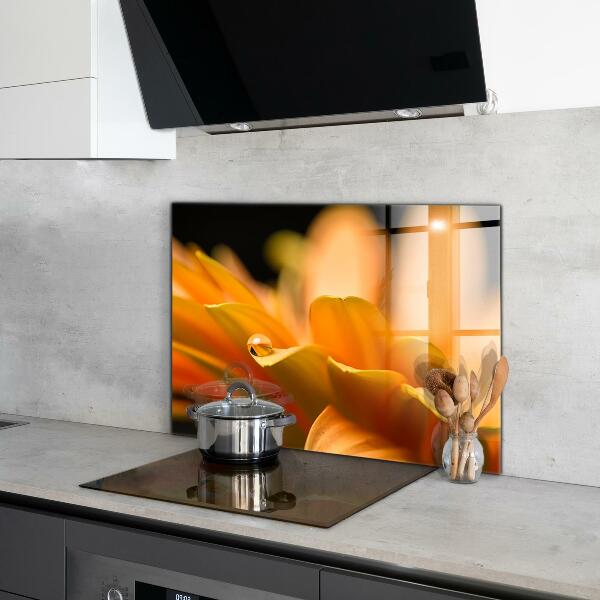 Crédence cuisine en verre Fleur de gerber