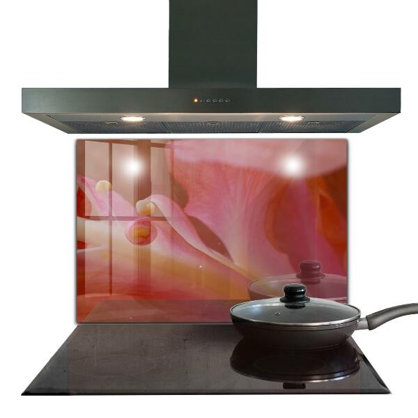 Crédence cuisine en verre Pollen de fleurs nature