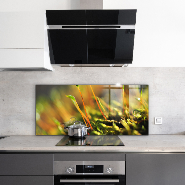 Crédence en verre avec motif Détails de la mousse forestière