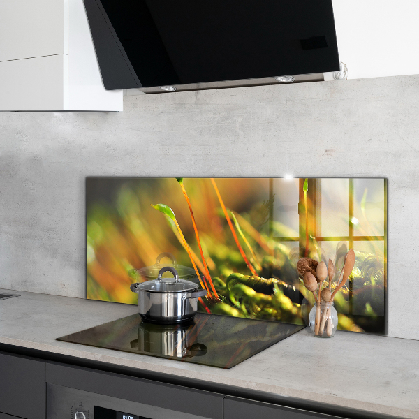 Crédence en verre avec motif Détails de la mousse forestière