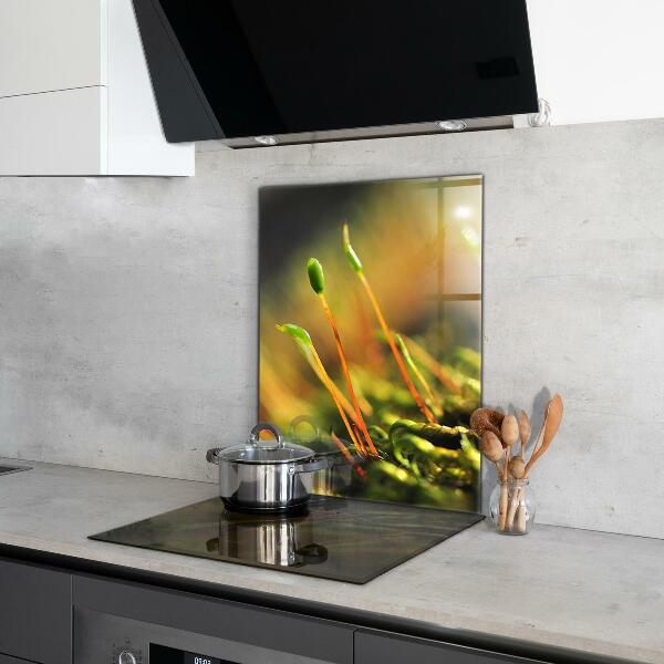 Crédence en verre avec motif Détails de la mousse forestière