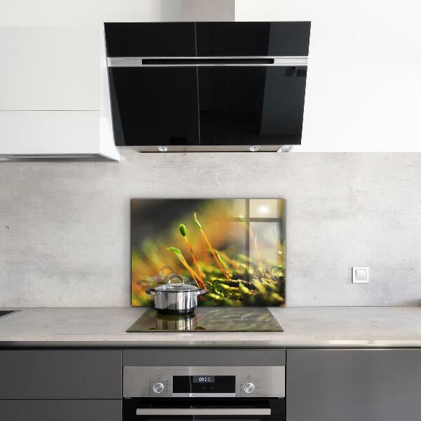 Crédence en verre avec motif Détails de la mousse forestière