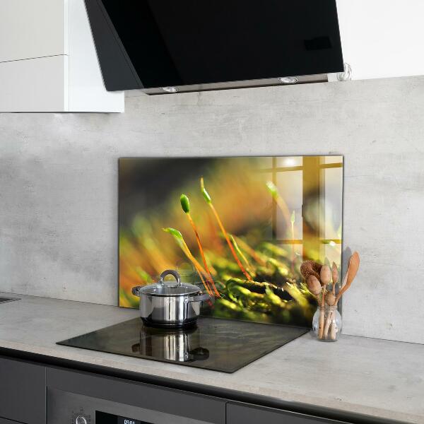 Crédence en verre avec motif Détails de la mousse forestière