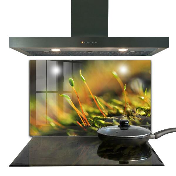 Crédence en verre avec motif Détails de la mousse forestière