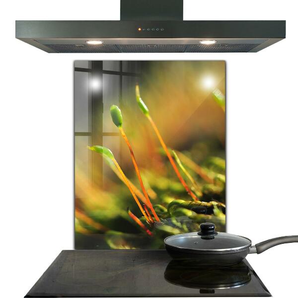 Crédence en verre avec motif Détails de la mousse forestière