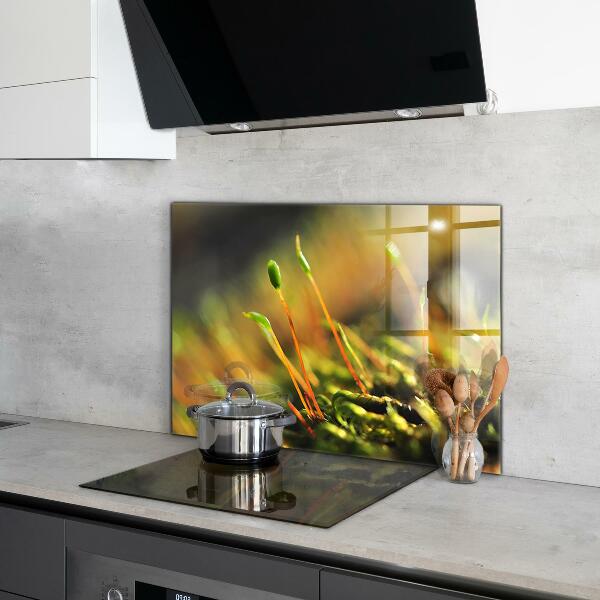 Crédence en verre avec motif Détails de la mousse forestière