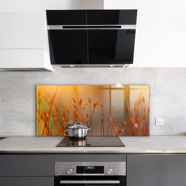 Crédence en verre avec motif Champ de céréales au coucher du soleil