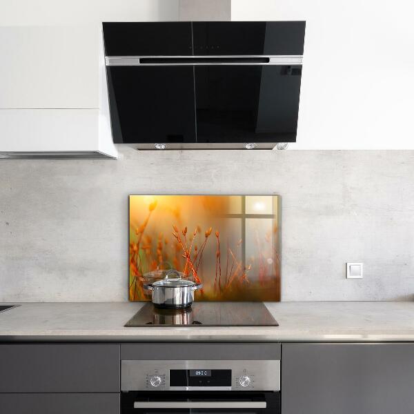Crédence en verre avec motif Champ de céréales au coucher du soleil