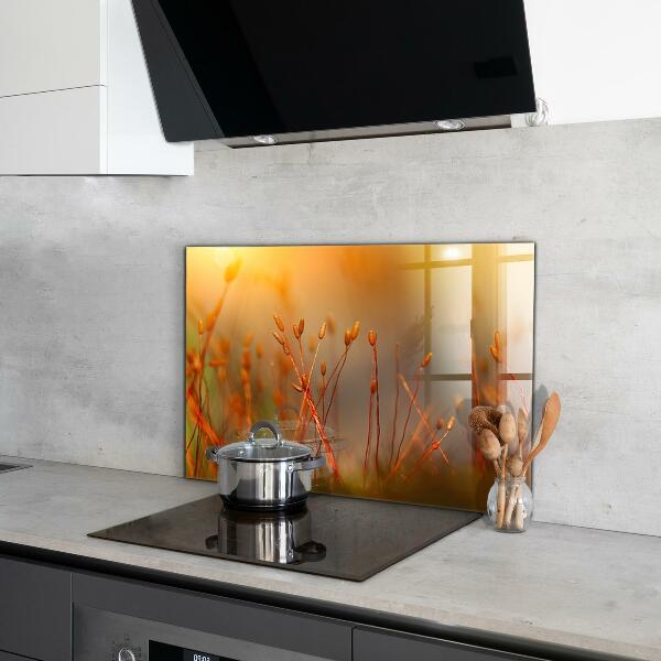 Crédence en verre avec motif Champ de céréales au coucher du soleil