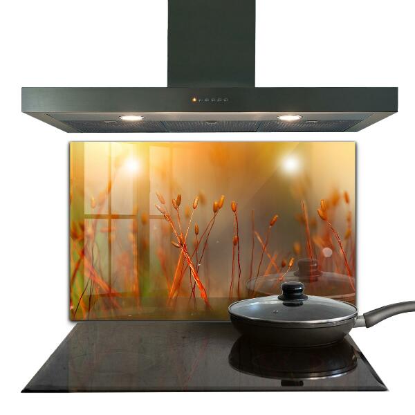 Crédence en verre avec motif Champ de céréales au coucher du soleil