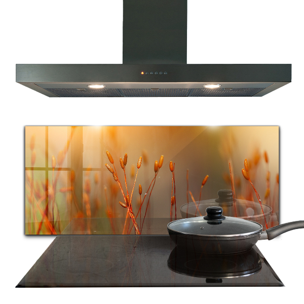 Crédence en verre avec motif Champ de céréales au coucher du soleil