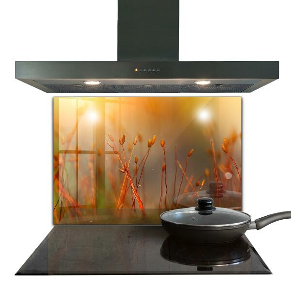 Crédence en verre avec motif Champ de céréales au coucher du soleil