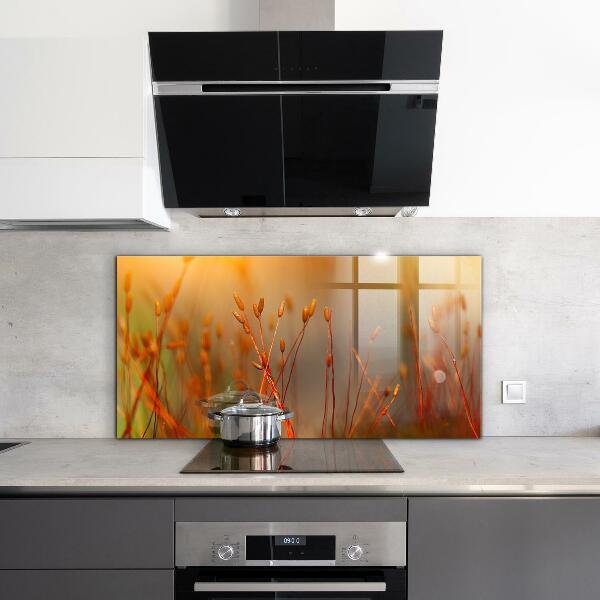 Crédence en verre avec motif Champ de céréales au coucher du soleil