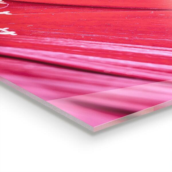 Crédence en verre avec motif Détails de la nature de la fleur rose