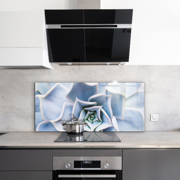 Crédence en verre avec motif Cactus succulents