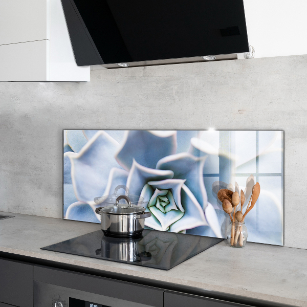 Crédence en verre avec motif Cactus succulents