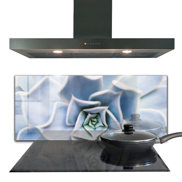 Crédence en verre avec motif Cactus succulents