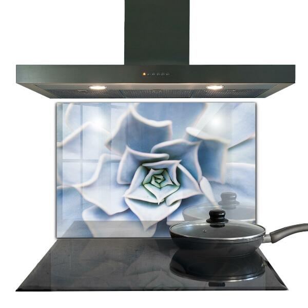 Crédence en verre avec motif Cactus succulents