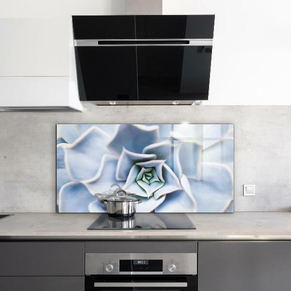 Crédence en verre avec motif Cactus succulents