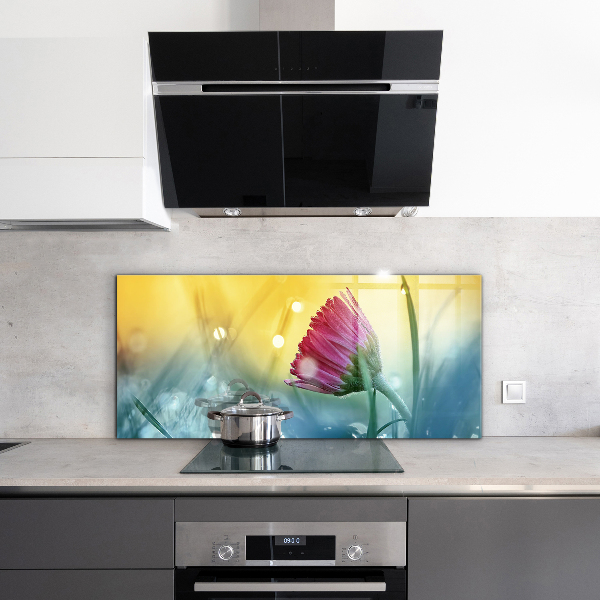 Crédence en verre avec motif Marguerite délicate dans le pré