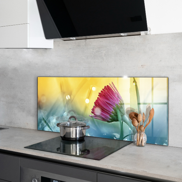 Crédence en verre avec motif Marguerite délicate dans le pré