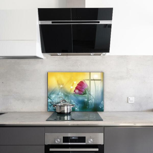 Crédence en verre avec motif Marguerite délicate dans le pré