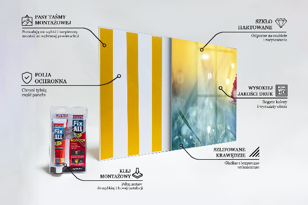 Crédence en verre avec motif Marguerite délicate dans le pré