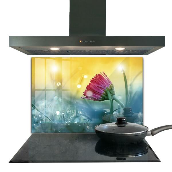 Crédence en verre avec motif Marguerite délicate dans le pré