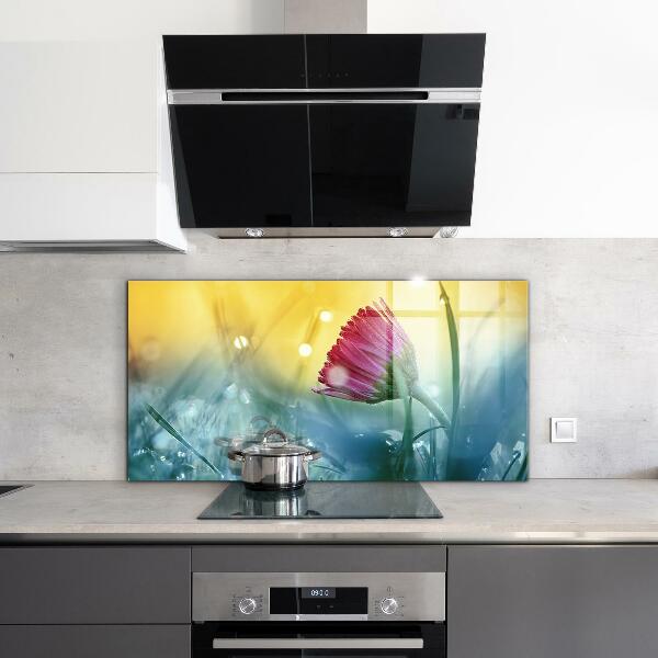 Crédence en verre avec motif Marguerite délicate dans le pré