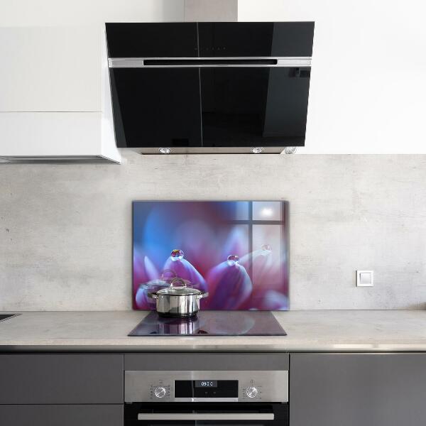 Crédence cuisine en verre Gouttes de rosée fleur pourpre