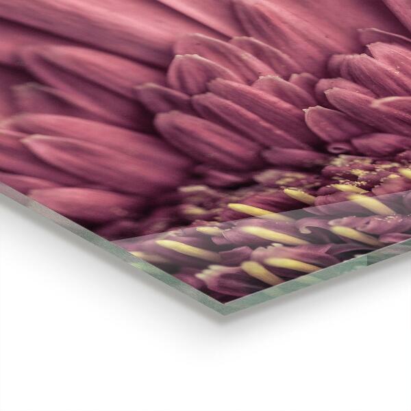 Crédence cuisine en verre Fleur margaretka gerbera