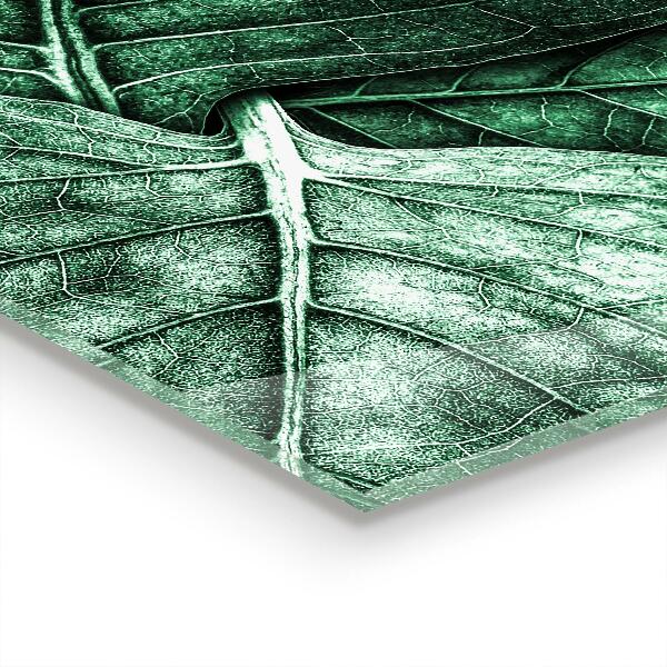 Panneau pour cuisine Détails de la feuille verte