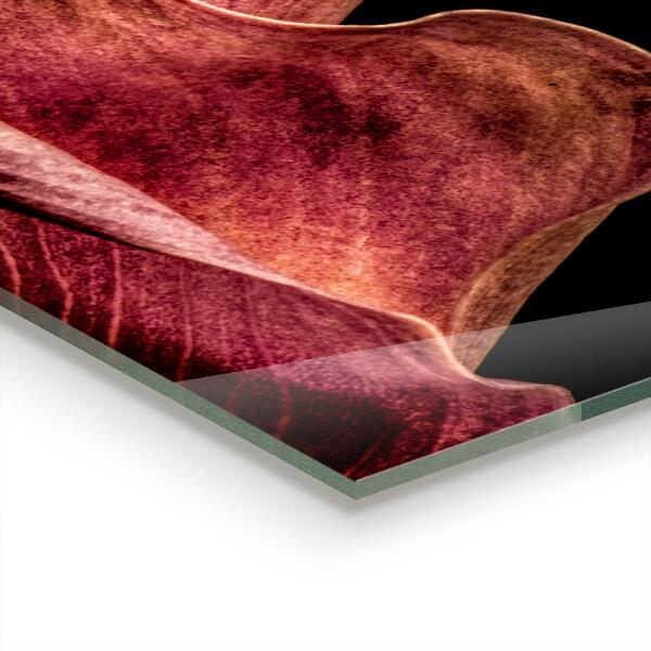 Panneau pour cuisine Feuille délicate et élégante