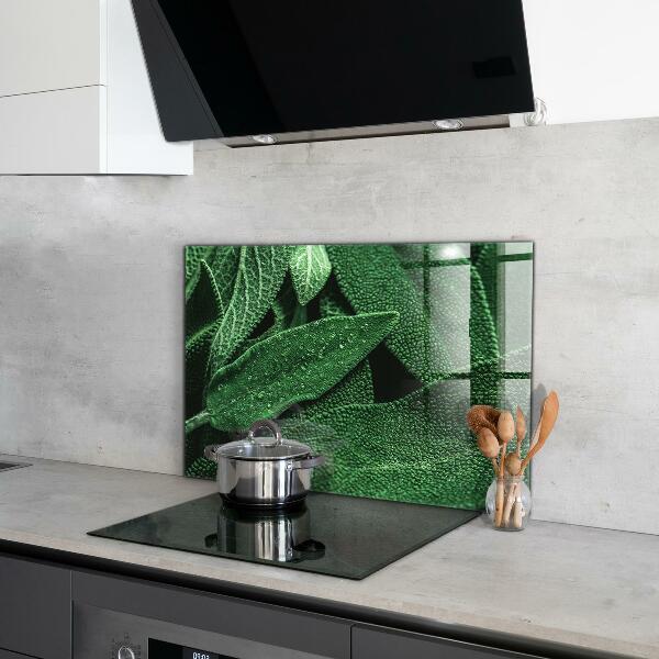 Panneau pour cuisine Feuilles vertes après la pluie