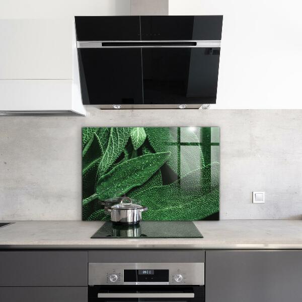 Panneau pour cuisine Feuilles vertes après la pluie