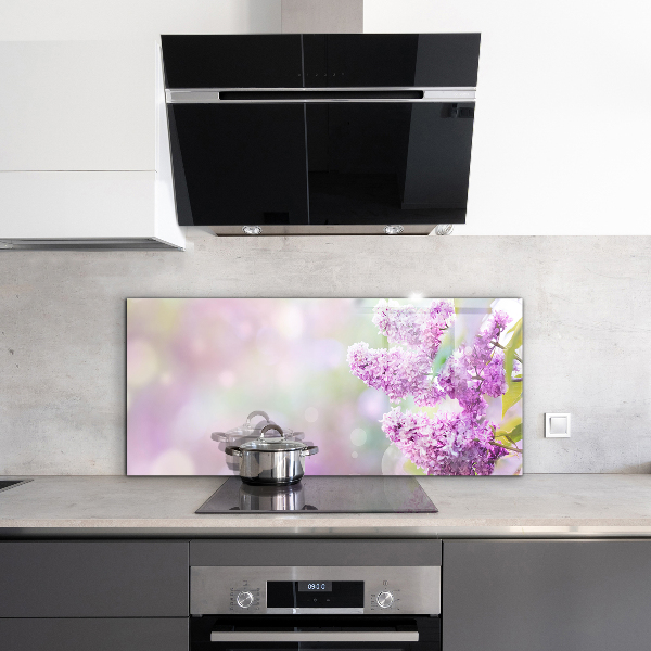 Crédence cuisine en verre Lilas en fleurs d'été dans le jardin