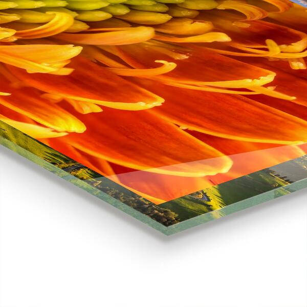 Crédence cuisine en verre Fleur de gerbera orange