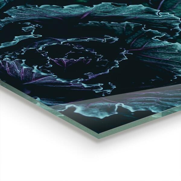 Verre pour crédence Feuilles de chou vert foncé