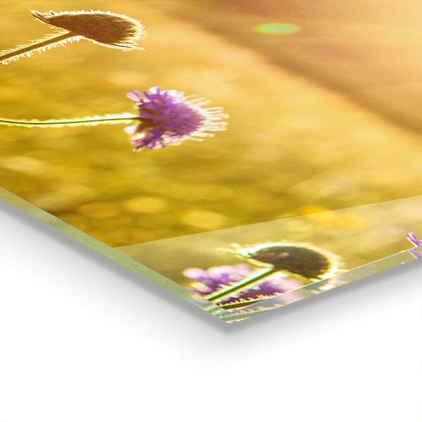 Verre pour crédence Prairie fleurie d’été