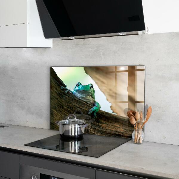 Crédence cuisine en verre Grenouille curieuse sur une feuille