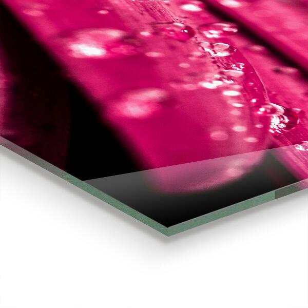 Panneau crédence cuisine Fleur de plante rose