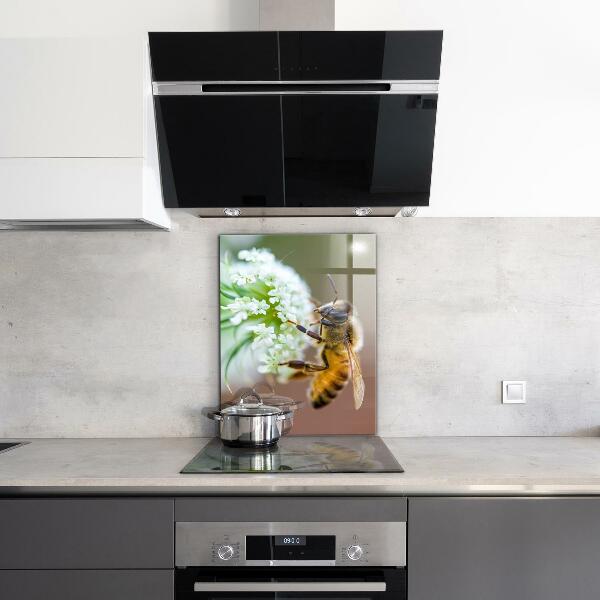 Crédence cuisine en verre Abeille collectant du pollen