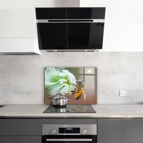 Crédence cuisine en verre Abeille collectant du pollen